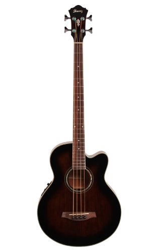 Ibanez Acoustic-Electric Bass Guitar #6E