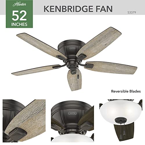 Hunter Fan Company 53379  Ceiling Fan #8H3
