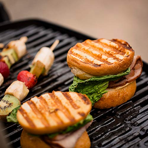 Weber Q1200 Gas Grill #5S